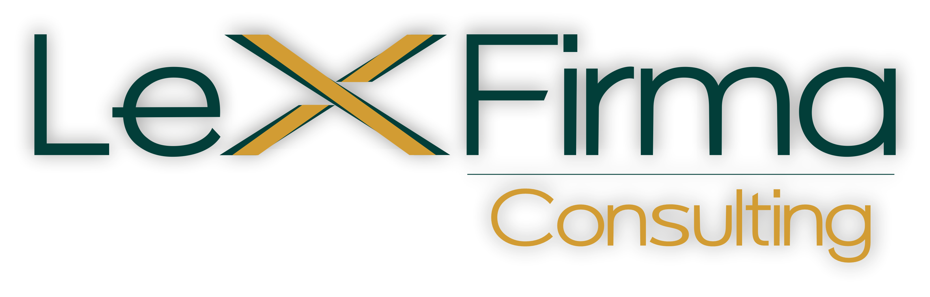 Lex Firma Consulting